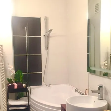 Viktoria ~ Your In Cluj-napoca Apartment Cluj-Napoca